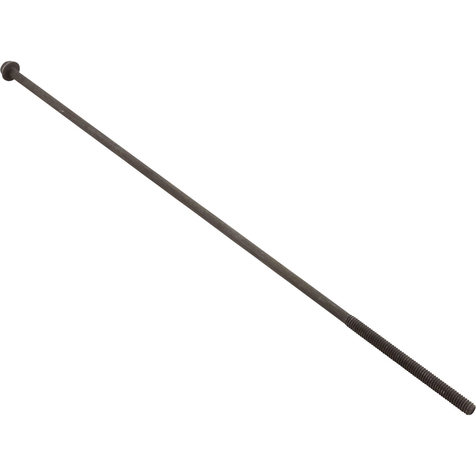 kanaan（＾∇＾） 1001387.jpg