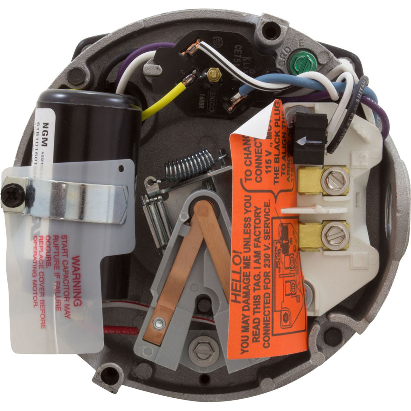Motor, Hayward MaxFlo II/XL, 1.0hp, 115v/208-230v, Max Rate